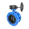 Flange Butterfly Valve Concentric Cast Iron Soft Seat