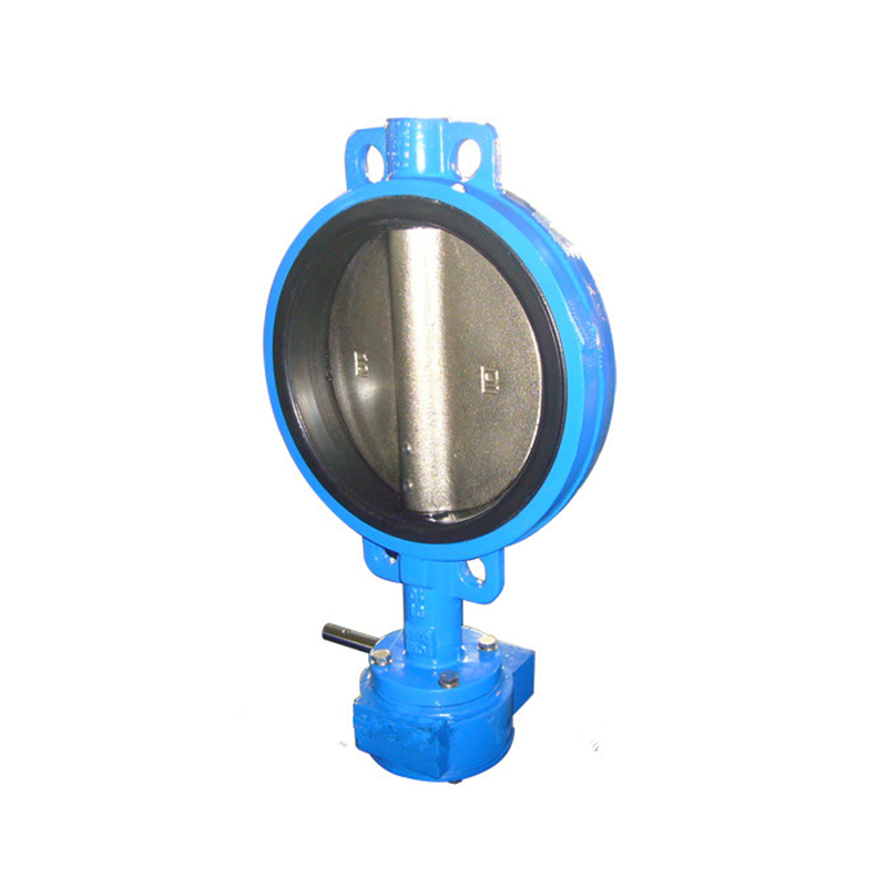 Wafer Butterfly Valve Cast Iron Pn16 with Pin