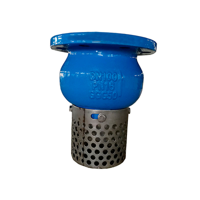 Foot Valve Cast Iron 150LB Stainless Steel Screen