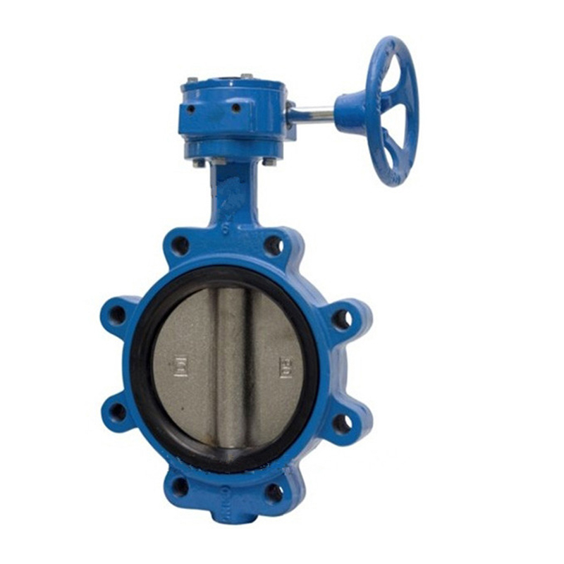 Lug Butterfly Valve Cast Iron Pn16 Without Pin
